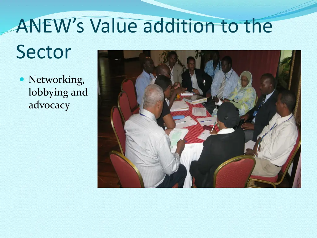 anew s value addition to the sector 1