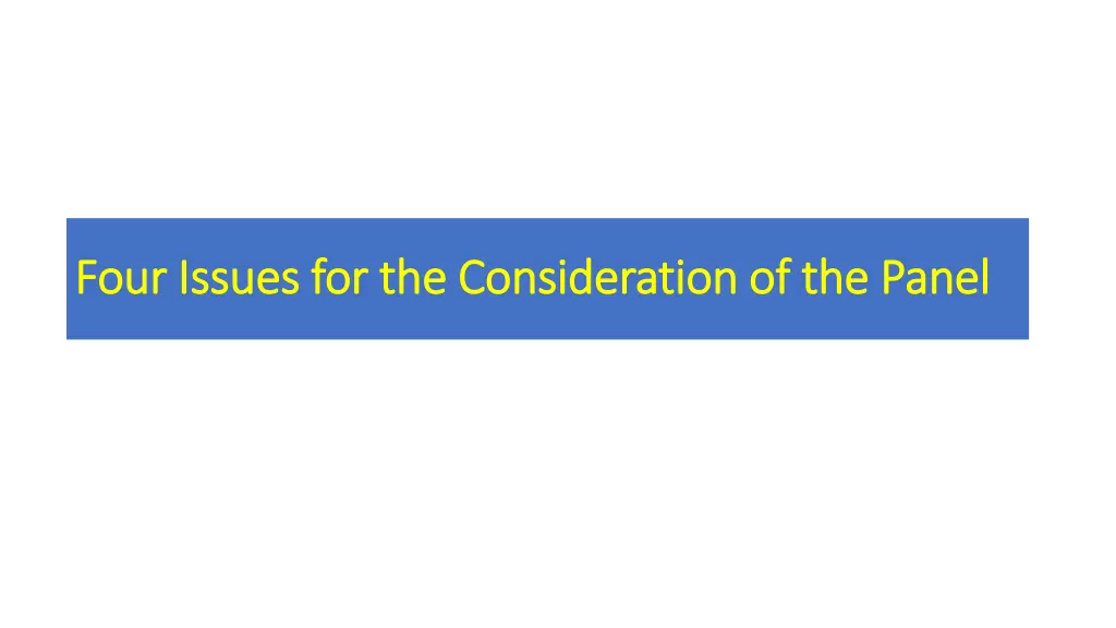 four issues for the consideration of the panel