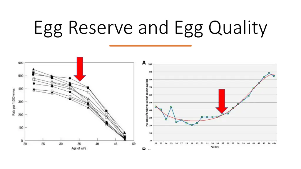 egg reserve and egg quality