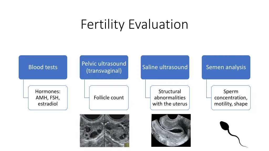 fertility evaluation