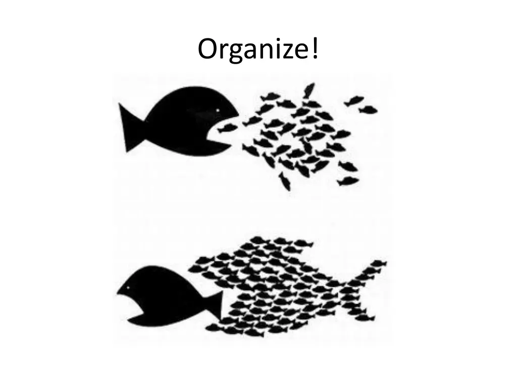 organize