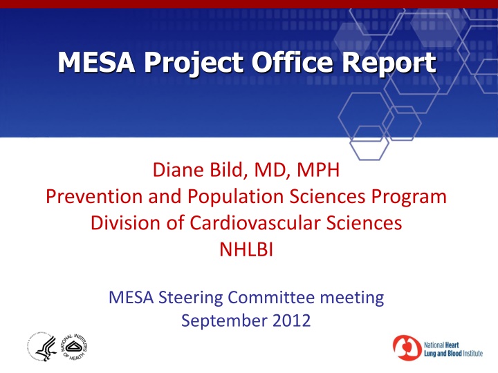 mesa project office report