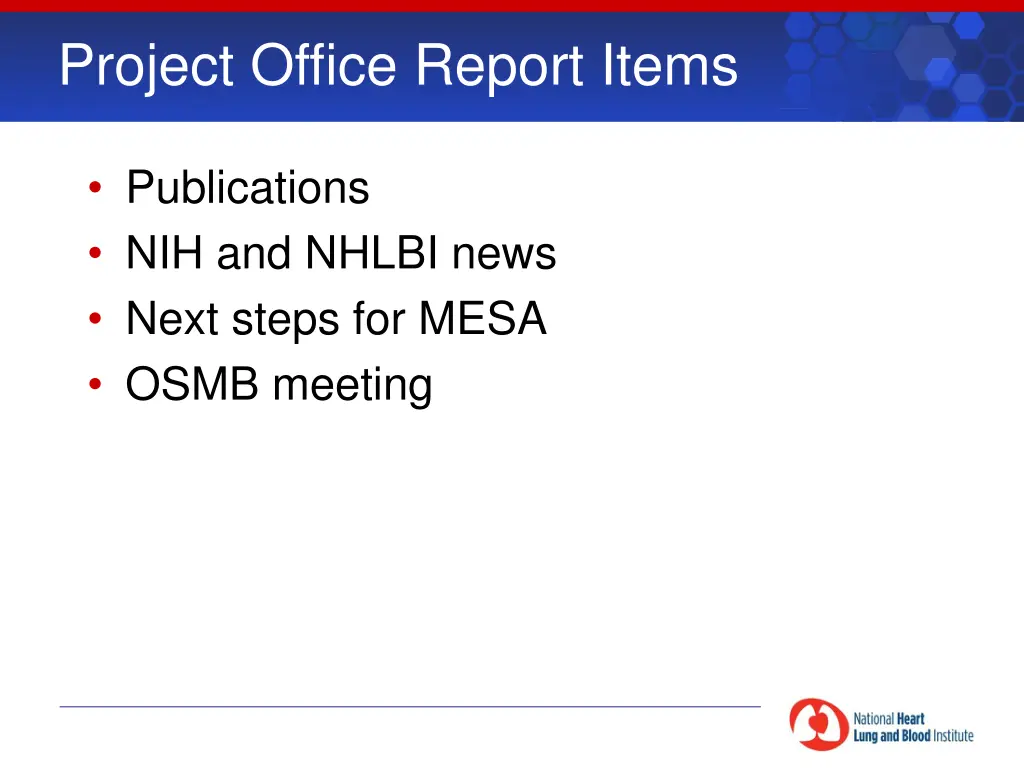 project office report items