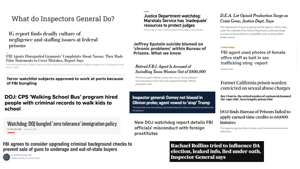 what do inspectors general do 1
