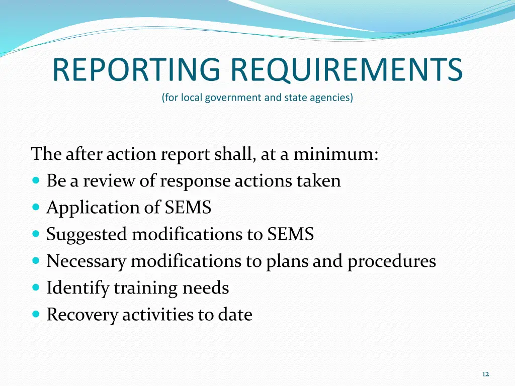 reporting requirements for local government