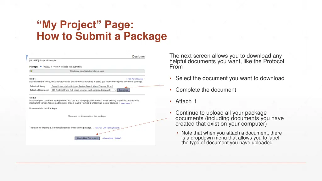 my project page how to submit a package 2