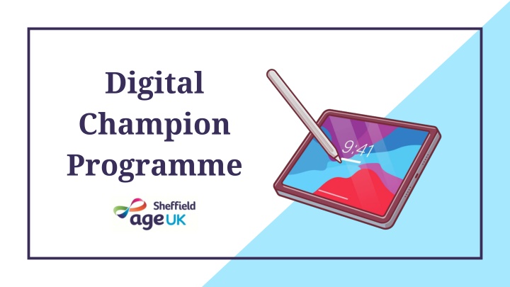 digital champion programme