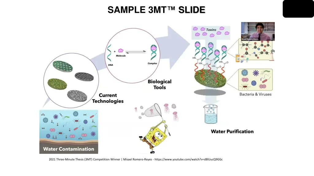 sample 3mt 2