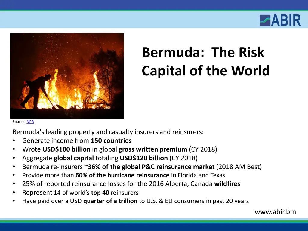 bermuda the risk capital of the world