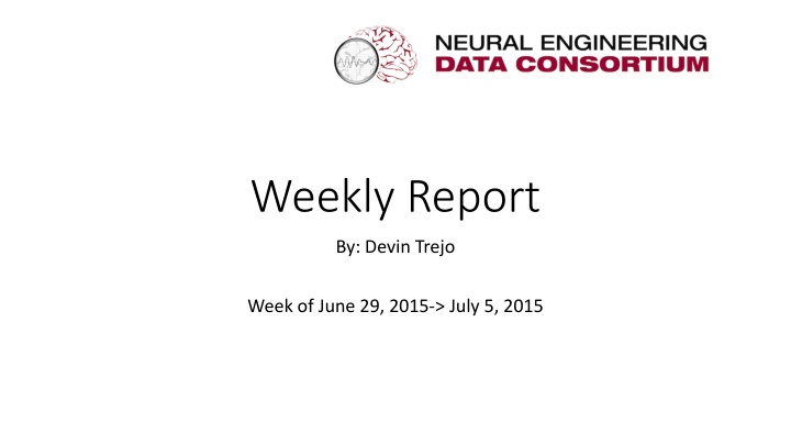 weekly report