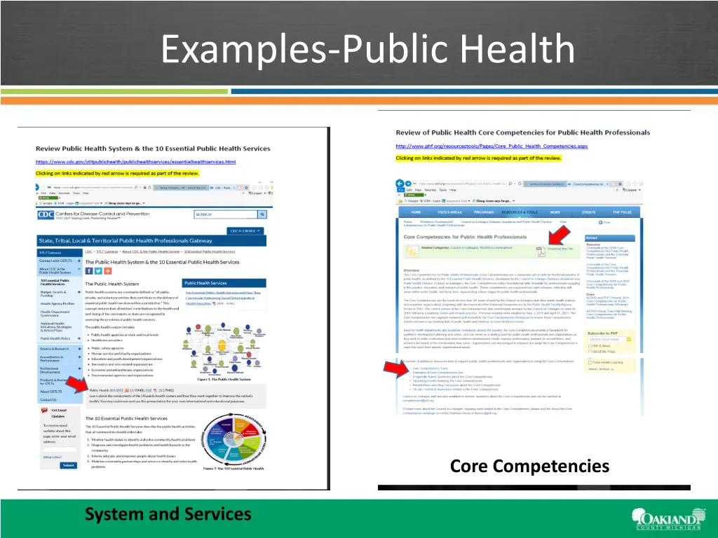 examples public health