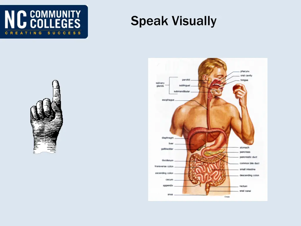 speak visually