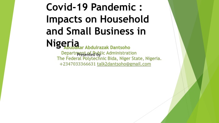 covid 19 pandemic impacts on household and small