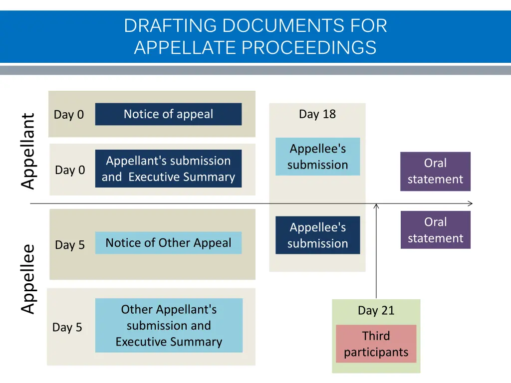 drafting documents for appellate proceedings