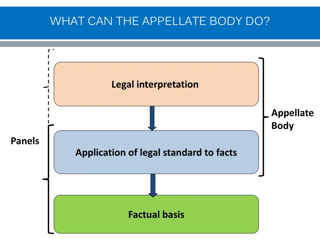 what can the appellate body do 1