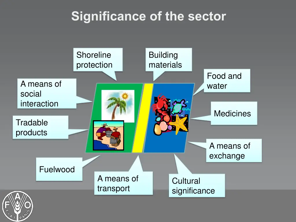 significance of the sector 1