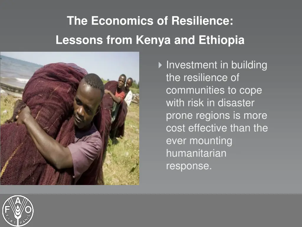 the economics of resilience lessons from kenya