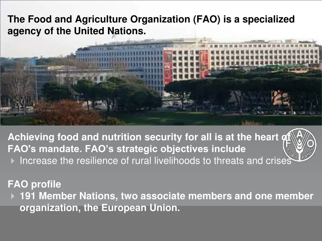 the food and agriculture organization
