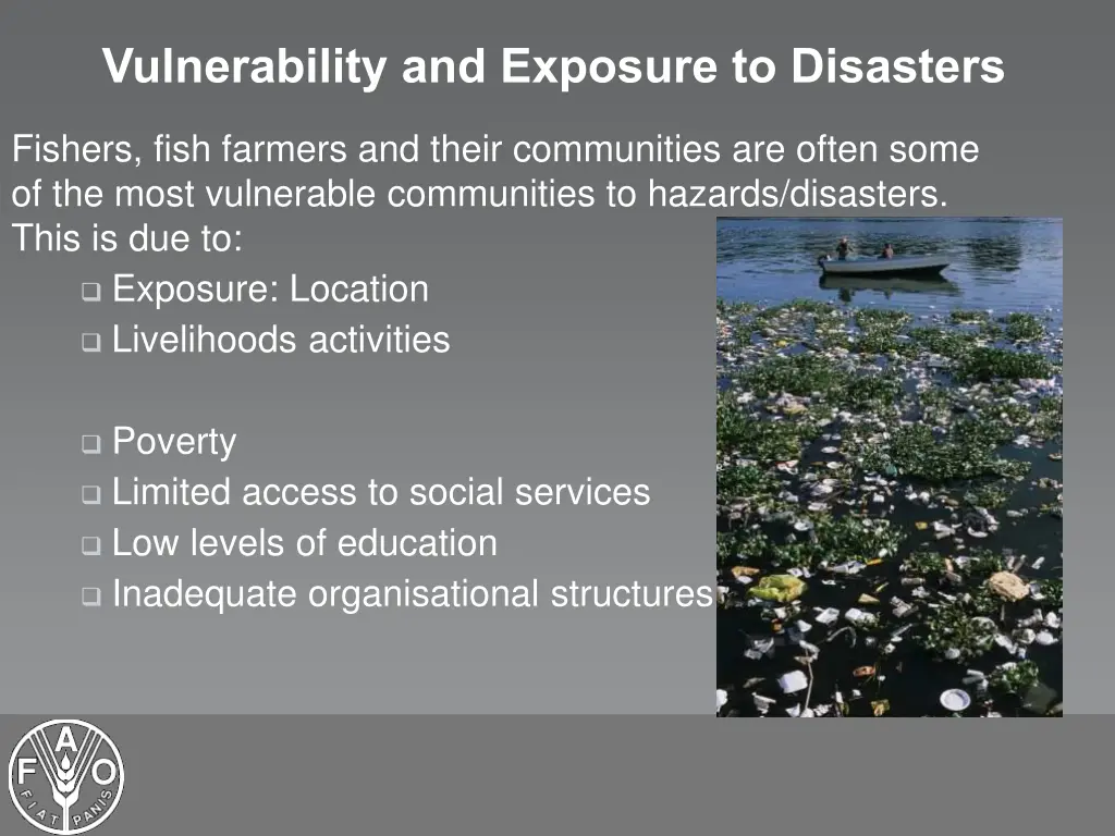 vulnerability and exposure to disasters