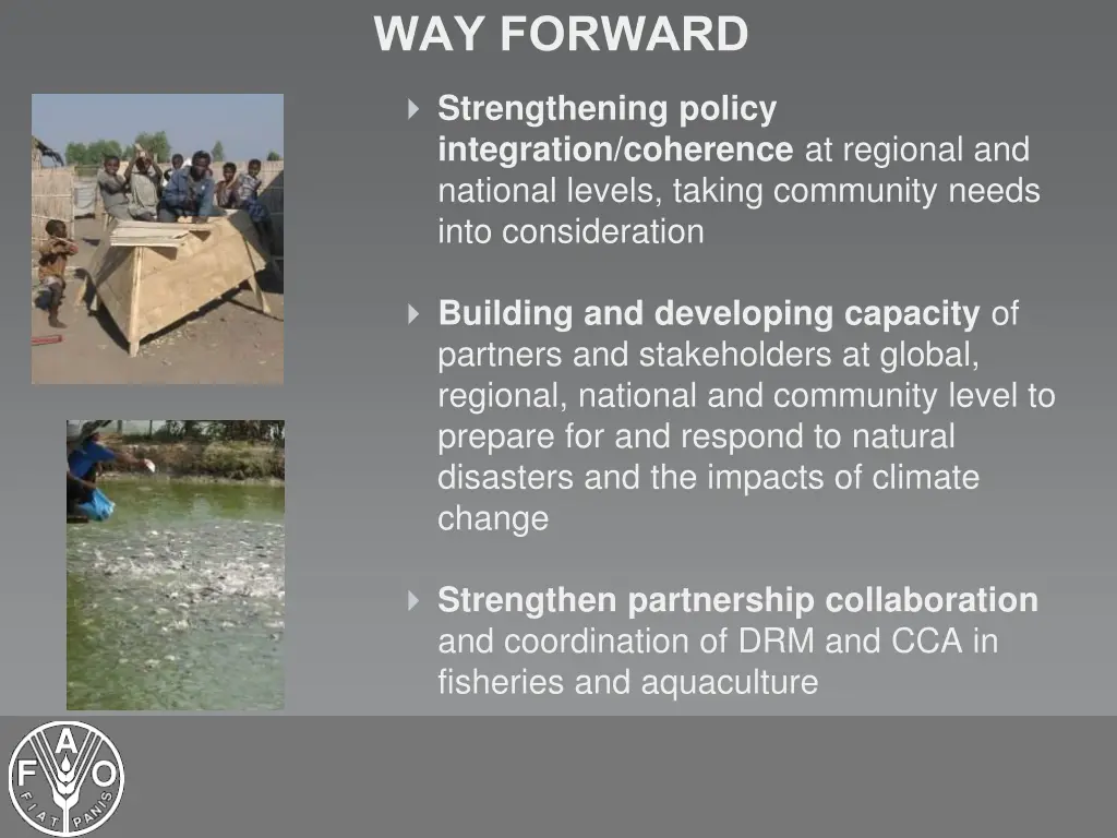 way forward strengthening policy integration