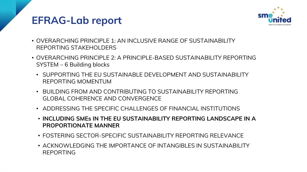 efrag lab report