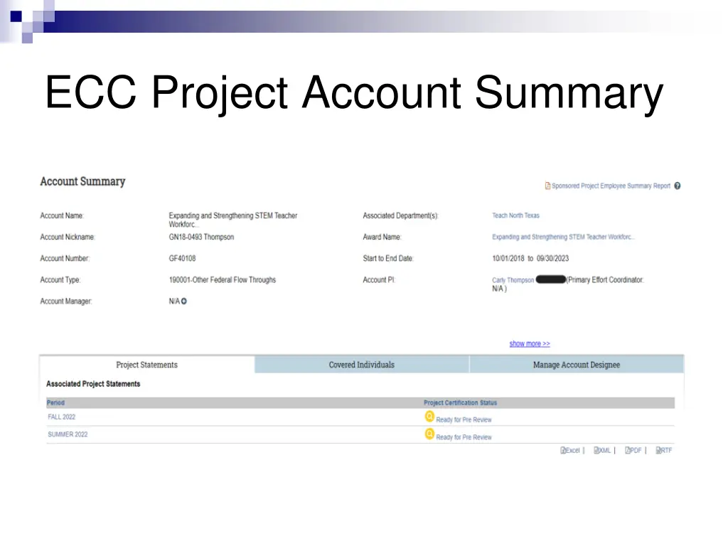 ecc project account summary