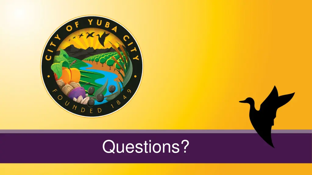 questions
