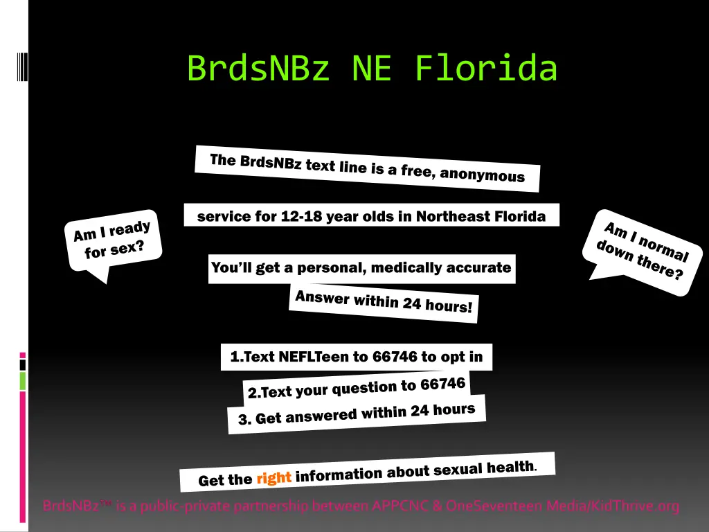 brdsnbz ne florida