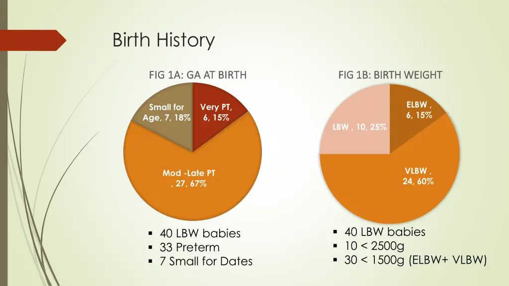 birth history