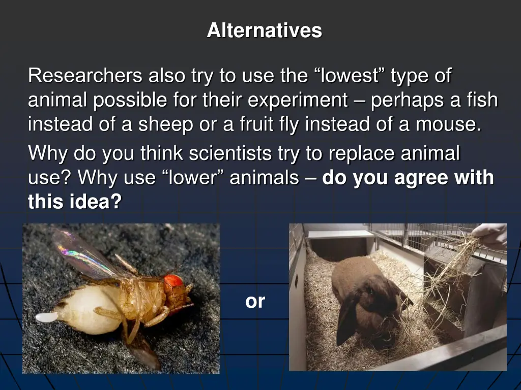 alternatives 1