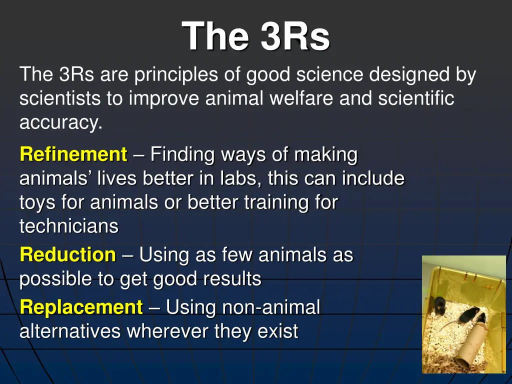 the 3rs