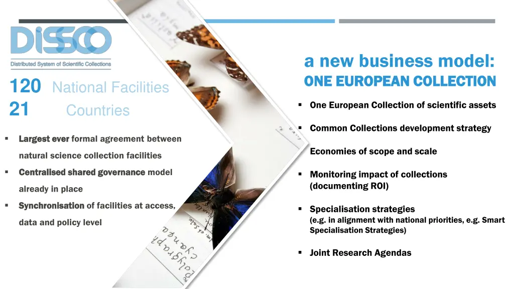 a new business model one european collection