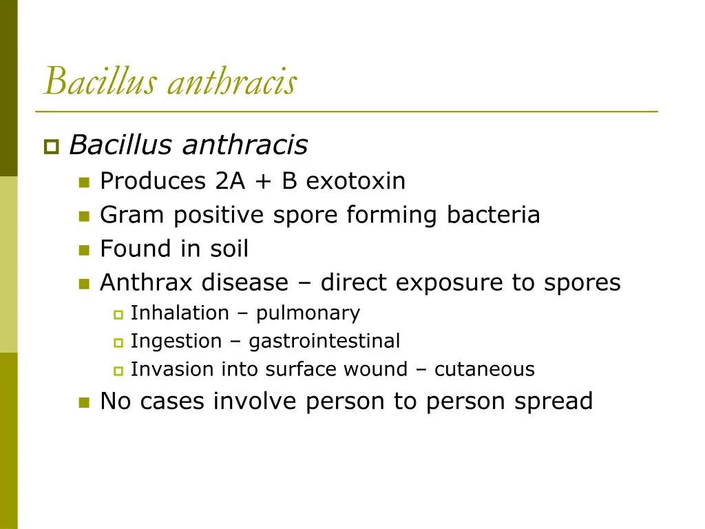 bacillus anthracis
