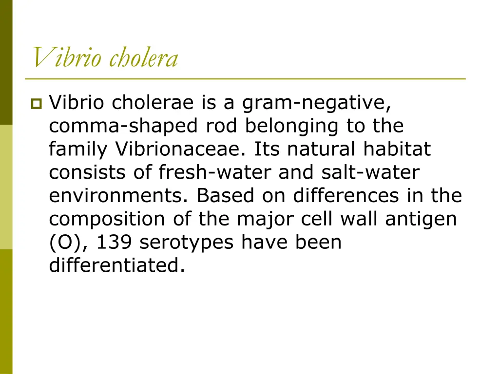 vibrio cholera