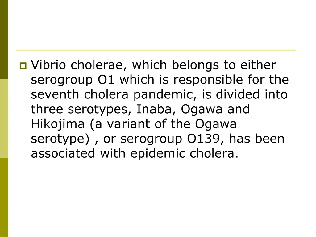 vibrio cholerae which belongs to either serogroup