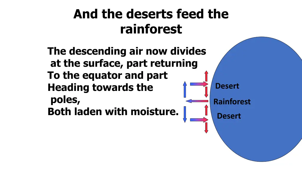 and the deserts feed the rainforest