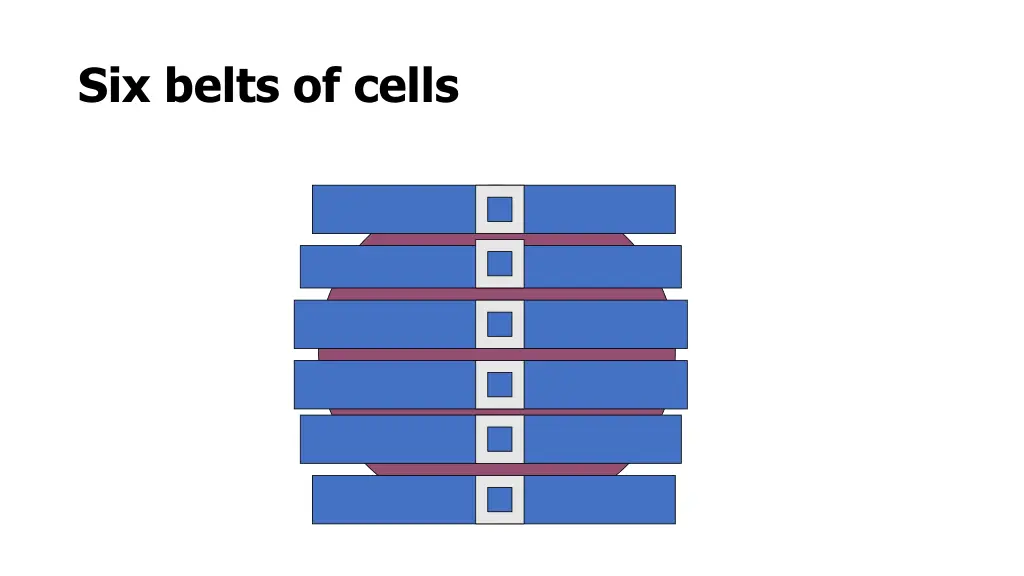 six belts of cells