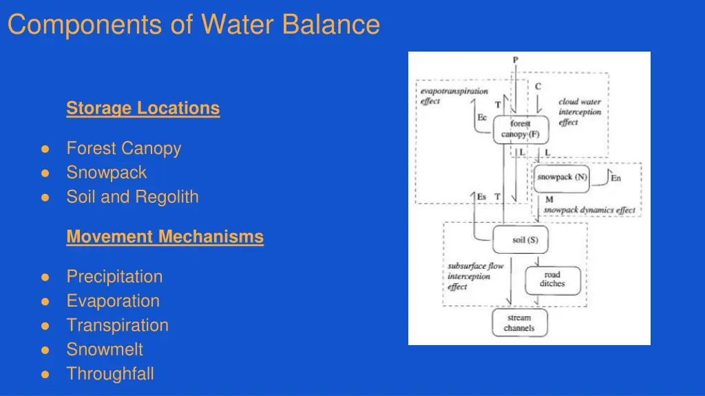 components of water balance