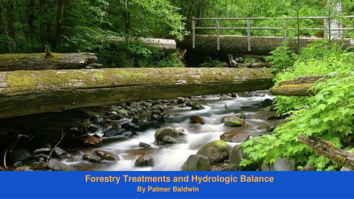 forestry treatments and hydrologic balance