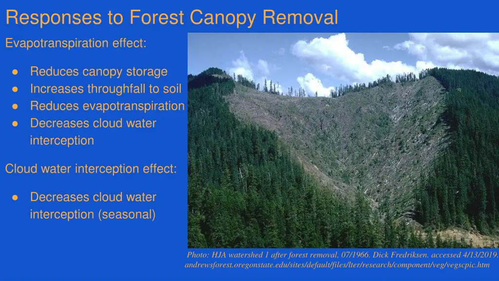 responses to forest canopy removal