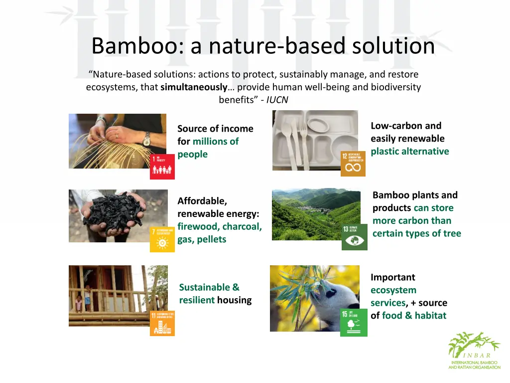 bamboo a nature based solution