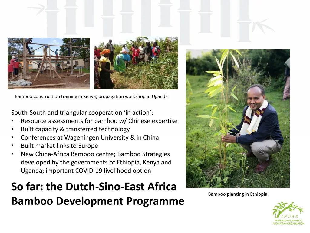 bamboo construction training in kenya propagation