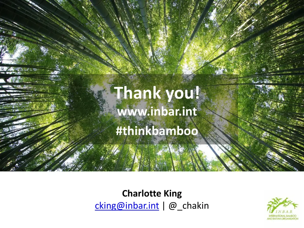 thank you www inbar int thinkbamboo