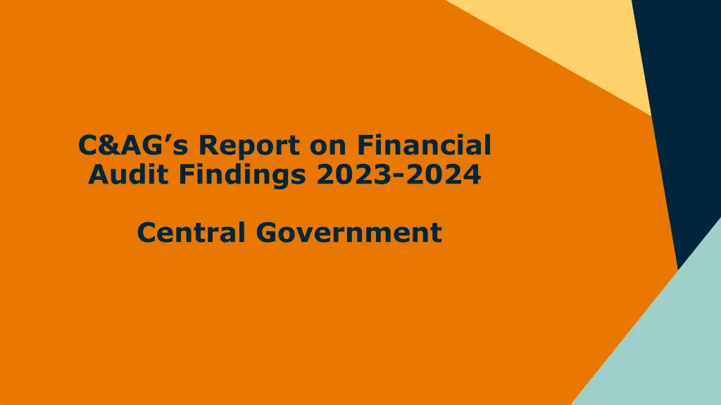 c ag s report on financial audit findings 2023