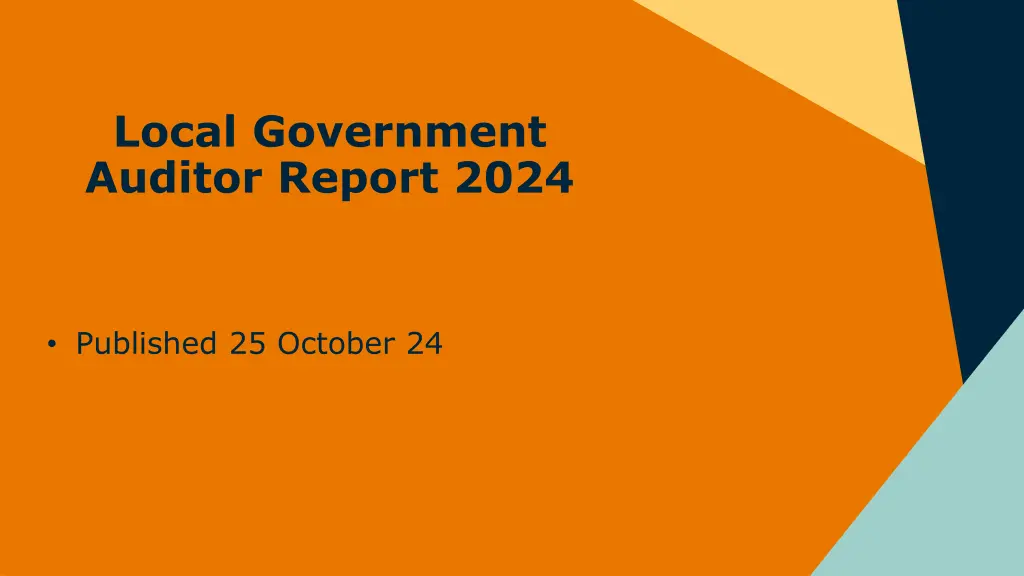 local government auditor report 2024