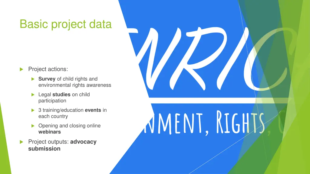 basic project data 1