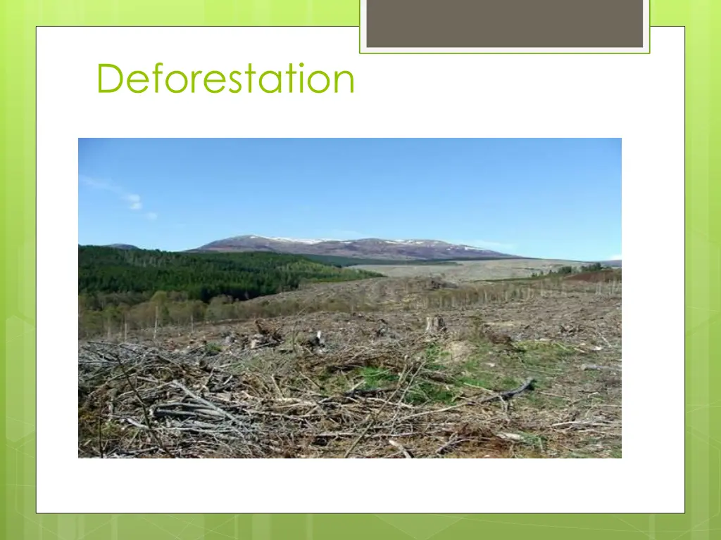 deforestation