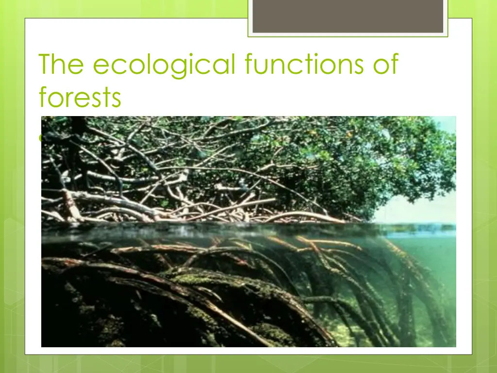 the ecological functions of forests