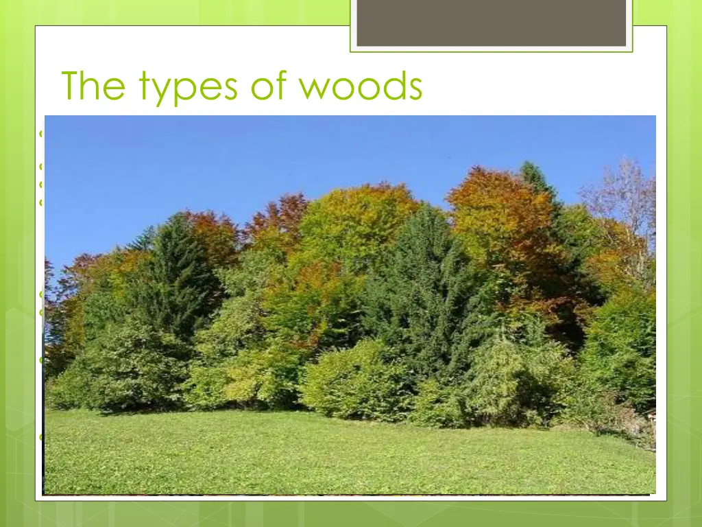 the types of woods