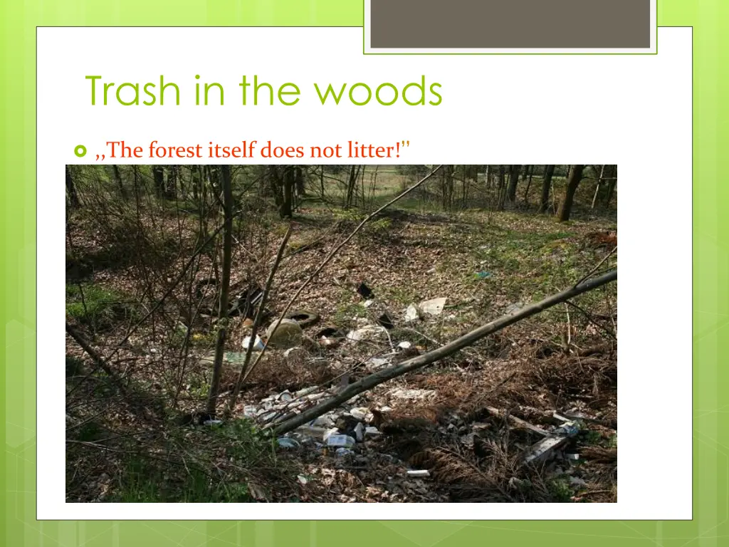 trash in the woods